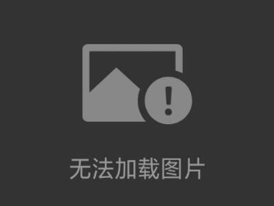人類 il-8 標(biāo)準(zhǔn)曲線